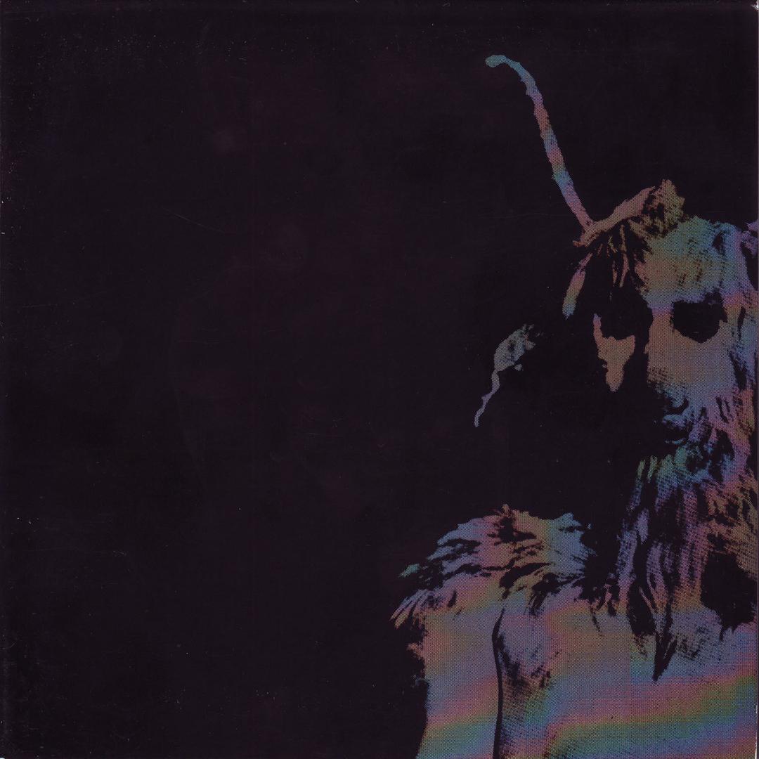 R I P By Cursed Pandora