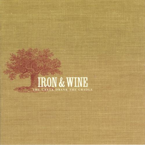 Flightless Bird American Mouth Wedding Version By Iron Wine