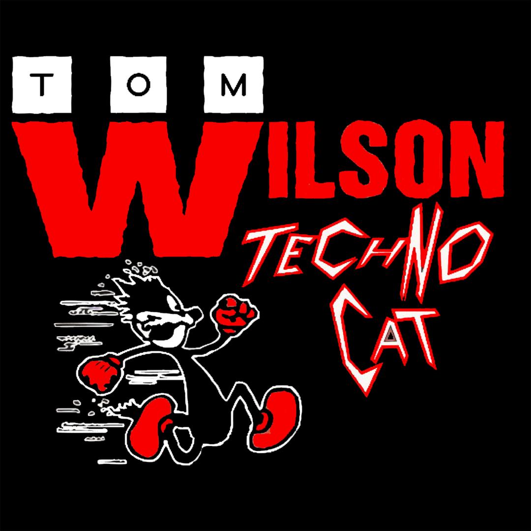 Techno Cat Perplexer Remix By Tom Wilson Pandora