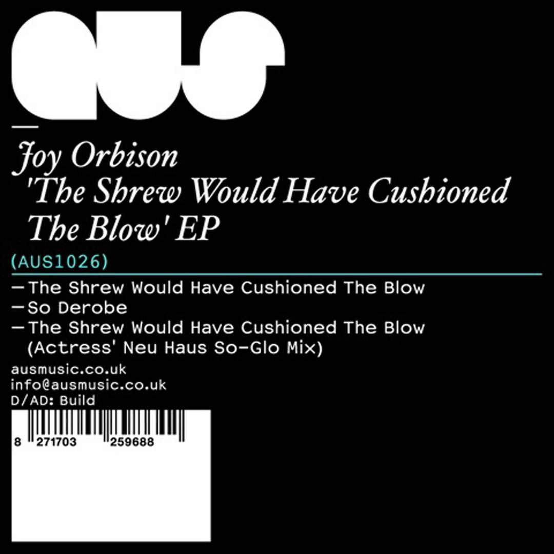 The Shrew Would Have Cushioned The Blow By Joy Orbison Pandora